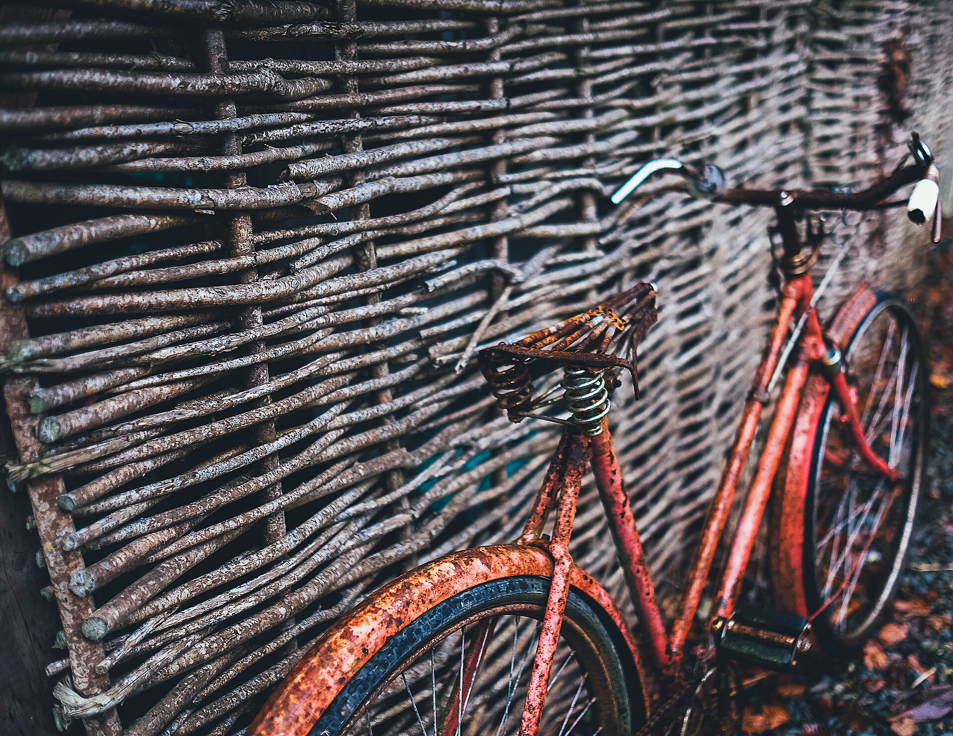 Bike store